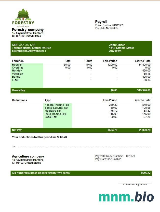 szablon payslip firmy leśnej w formatach Word i PDF